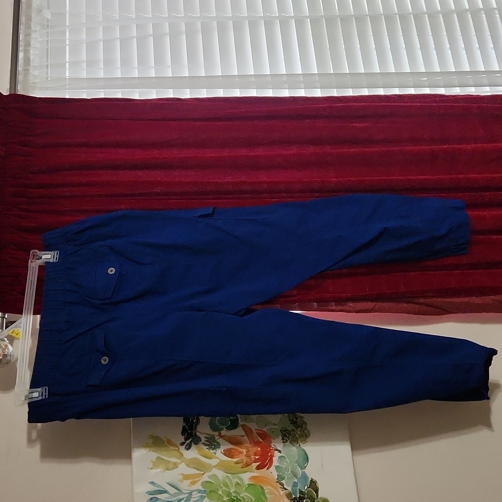 A pair royal blue pant size 12 by style&co for $14.